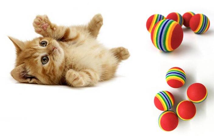 2 ADET GÖKKUŞAĞI RENKLI KEDI KÖPEK OYUN TOPU - 2