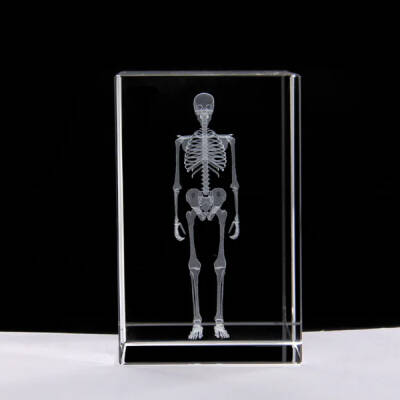 3D Kristal İnsan İskeleti Modeli - 1