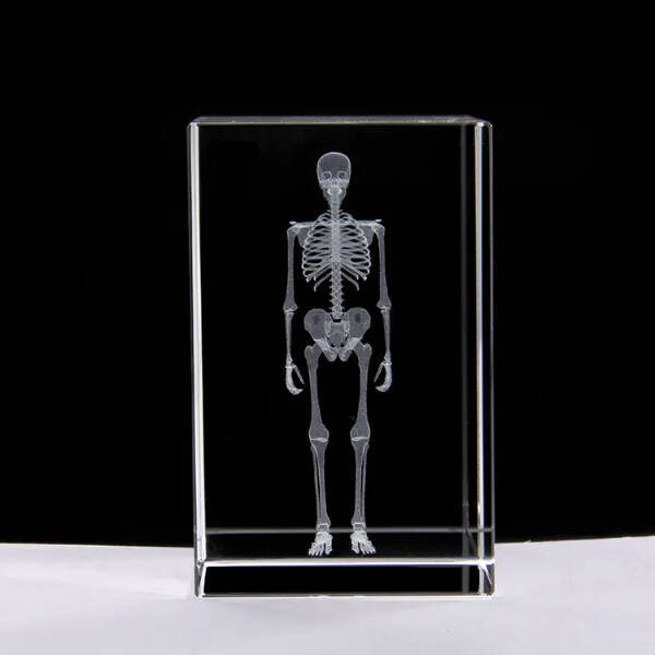 3D Kristal İnsan İskeleti Modeli - 1