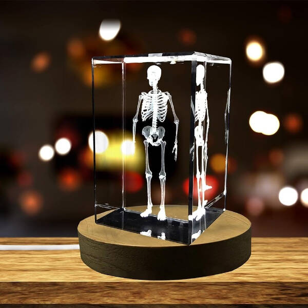 3D Kristal İnsan İskeleti Modeli - 3