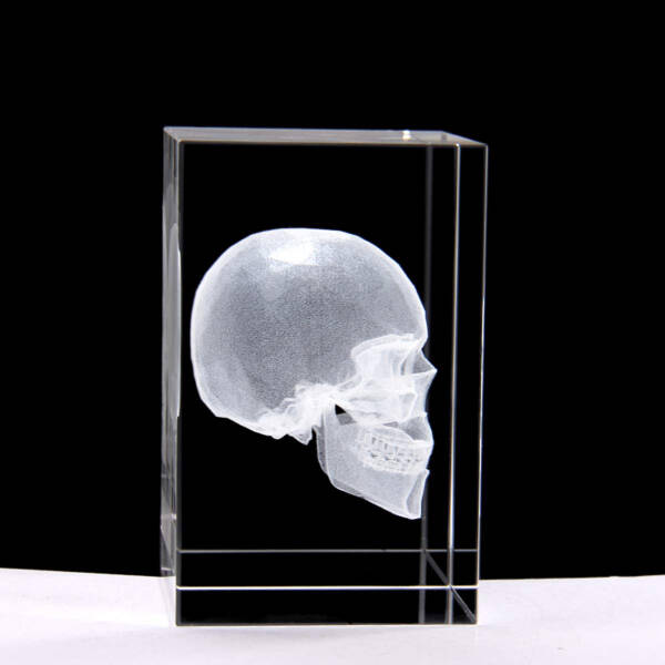 3D Kristal Kafatası Modeli - 1