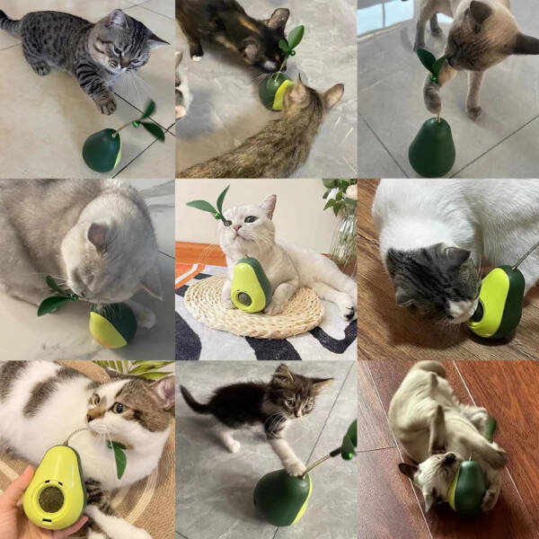 Avokado Şeklinde Kedi Naneli ve Mama Hazneli Kedi Oyuncağı - 4