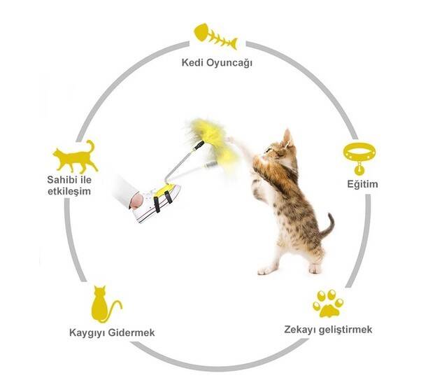 Ayağa Takılan Kedi Oyun Oltası - 2