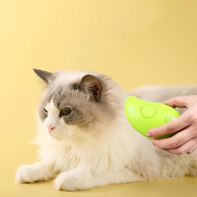 Buharlı Kedi Tarağı - 2