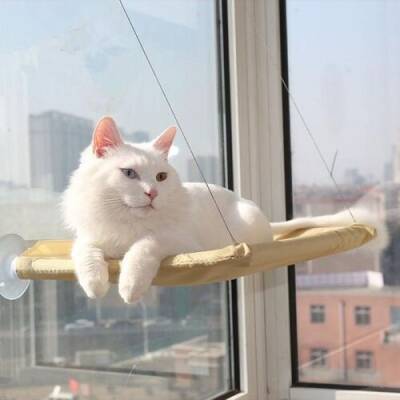 Cama Asılan Kedi Yatağı - 2