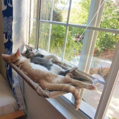 Cama Asılan Kedi Yatağı - 4