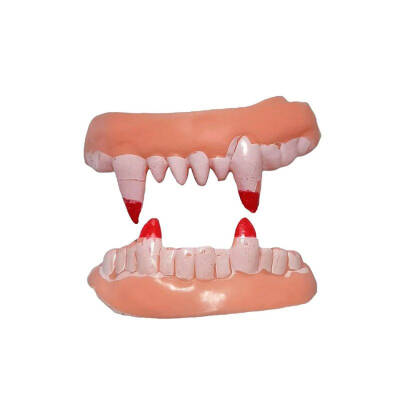 Çift Damak Yumuşak Vampir Dişleri (1)