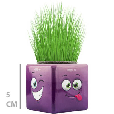 Çim Adam Mini Küp Emoji Figürlü 1 Adet - 1