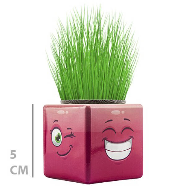 Çim Adam Mini Küp Emoji Figürlü 1 Adet - 3