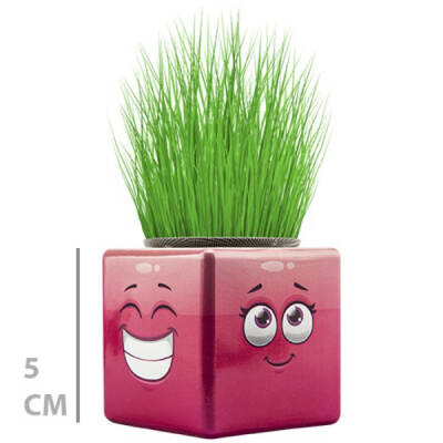 Çim Adam Mini Küp Emoji Figürlü 1 Adet - 4