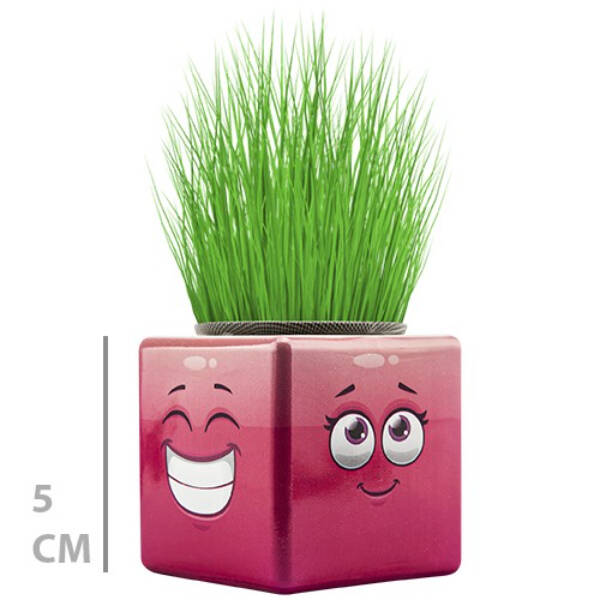 Çim Adam Mini Küp Emoji Figürlü 1 Adet - 4