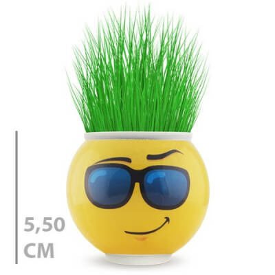 Çim Adam Saksı Emoji Figürlü 1 Adet - 1