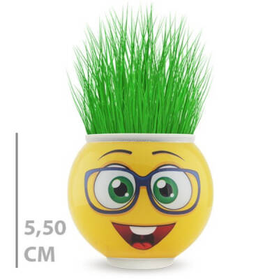 Çim Adam Saksı Emoji Figürlü 1 Adet - 2