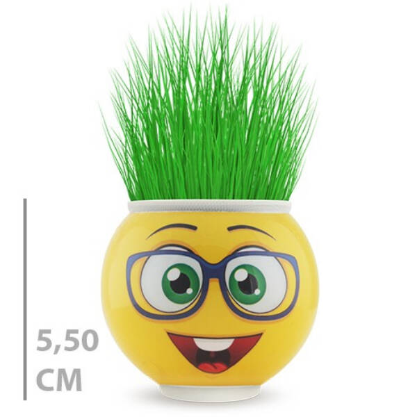 Çim Adam Saksı Emoji Figürlü 1 Adet - 2