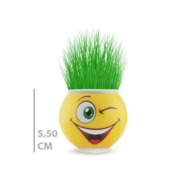 Çim Adam Saksı Emoji Figürlü 1 Adet - 4