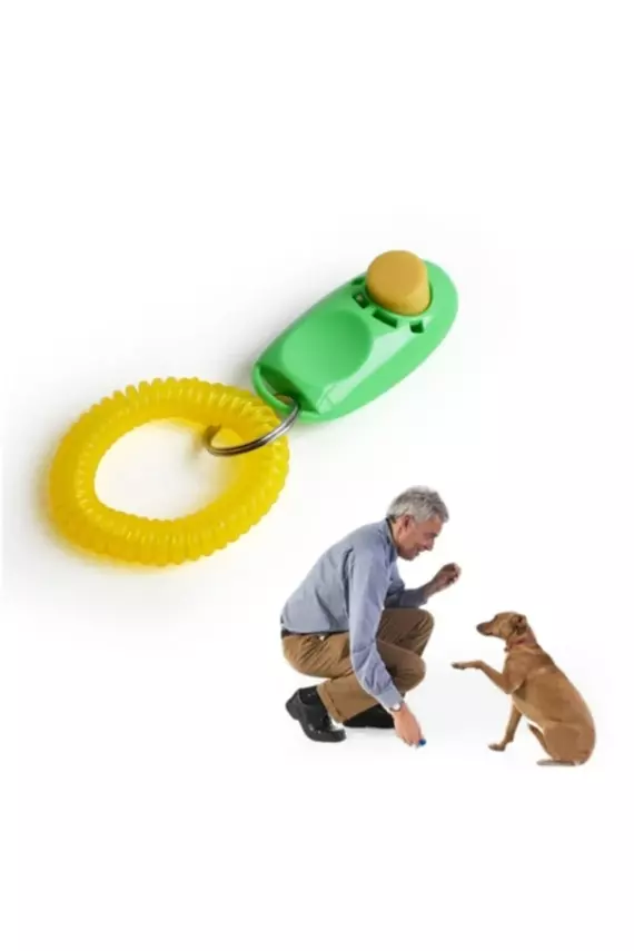 Clicker Köpek Eğitim Aleti - 1