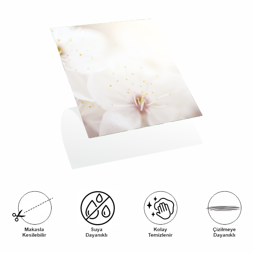 Decohandy 30x30 Cm Pvc Duvar Karosu 4'Lü Paket - Japon Çiçeği - 1
