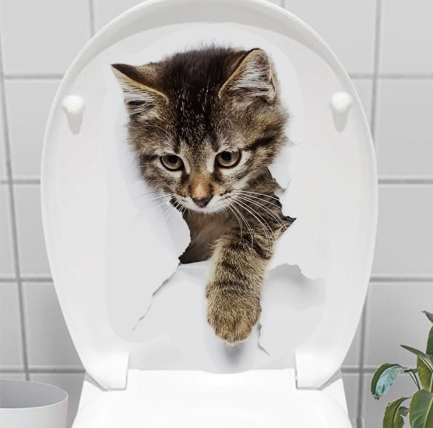Decohandy Klozet Etiketi Stray Cat - 1