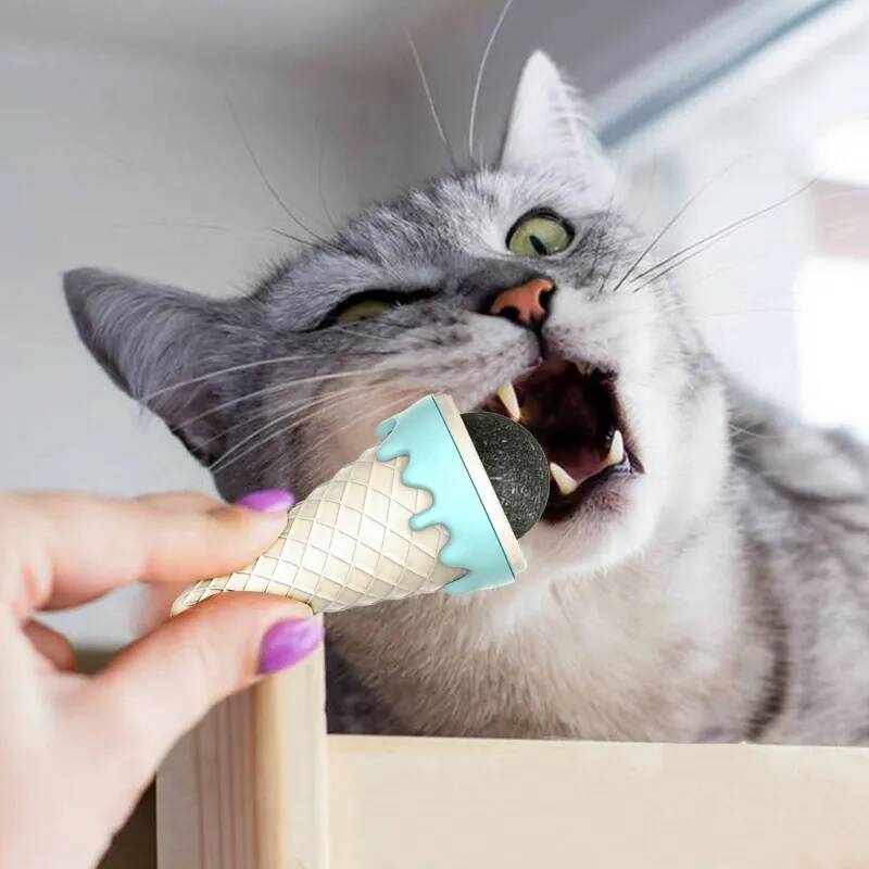 DONDURMA ŞEKLİNDE KEDİ NANESİ KEDİ OTU - 1