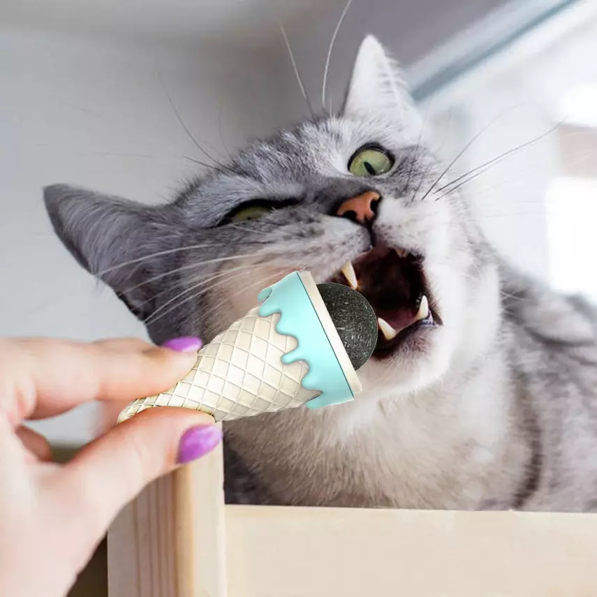 Dondurma Şeklinde Kedi Otu Nanesi - 1