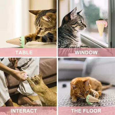 Dondurma Şeklinde Kedi Otu Nanesi - 4