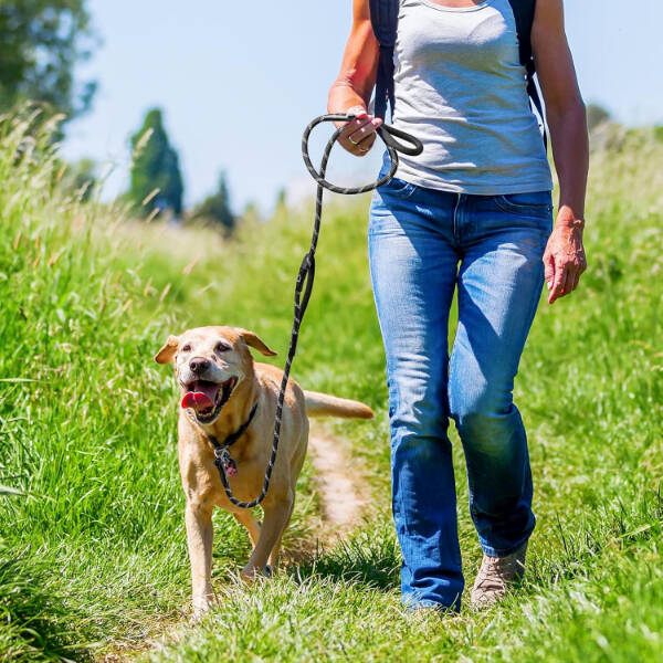 Evcil Hayvan Fitil Gezdirme Tasması 10 mm x 120 cm - 4