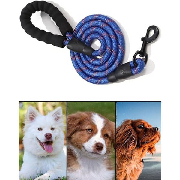 Evcil Hayvan Reflektörlü Fitil Gezdirme Tasması 10 mm x 120 cm - 2