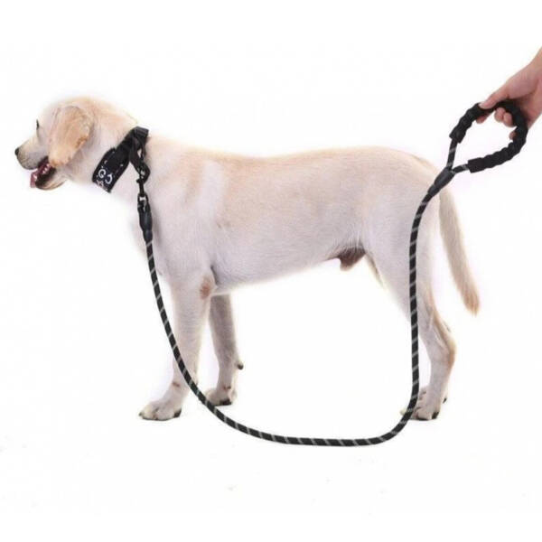 Evcil Hayvan Reflektörlü Fitil Gezdirme Tasması 12 mm x 120 cm - 2