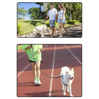 Evcil Hayvan Reflektörlü Fitil Gezdirme Tasması 12 mm x 120 cm - 3