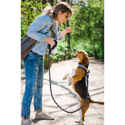 Evcil Hayvan Reflektörlü Fitil Gezdirme Tasması 12 mm x 120 cm - 4