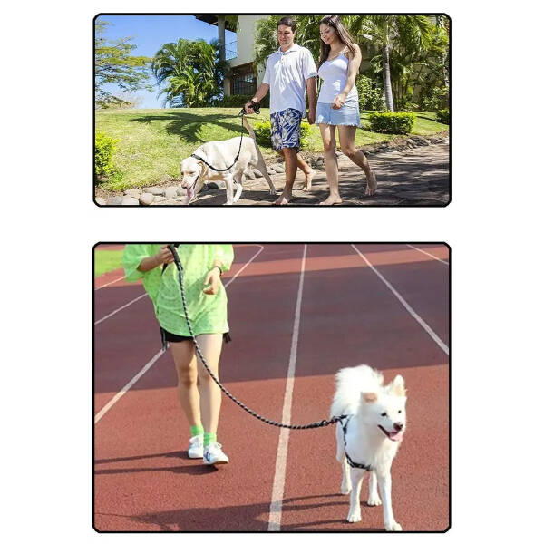 Evcil Hayvan Reflektörlü Fitil Gezdirme Tasması 8 mm x 120 cm - 2