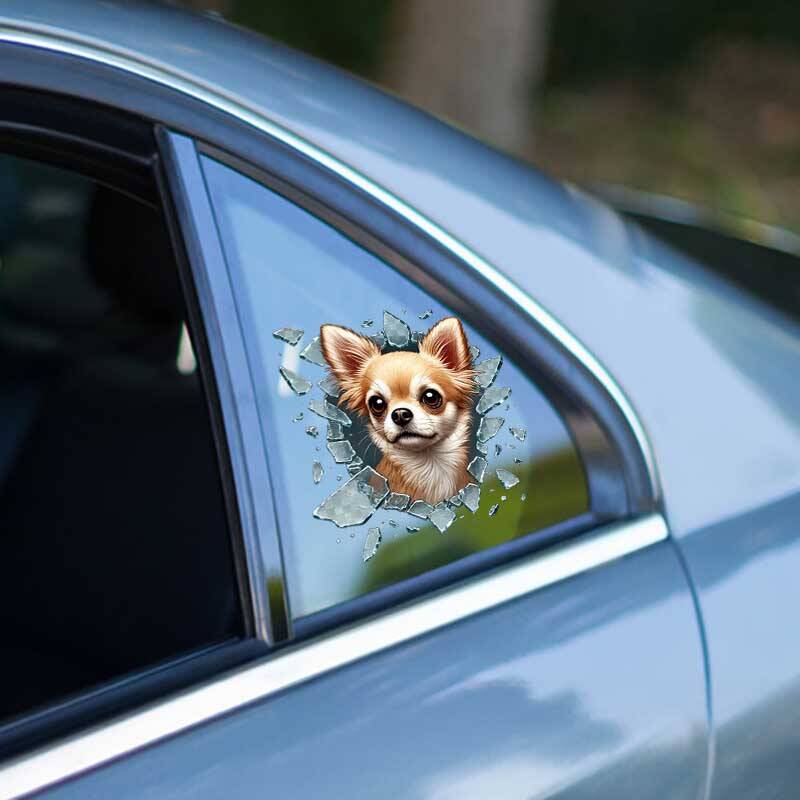 Fulcar Chiuahua Araç Stickerı - 1