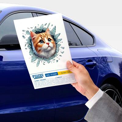 Fulcar Sarman Araç Stickerı - 3