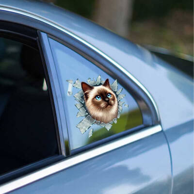 Fulcar Siamesse Araç Stickerı - 1
