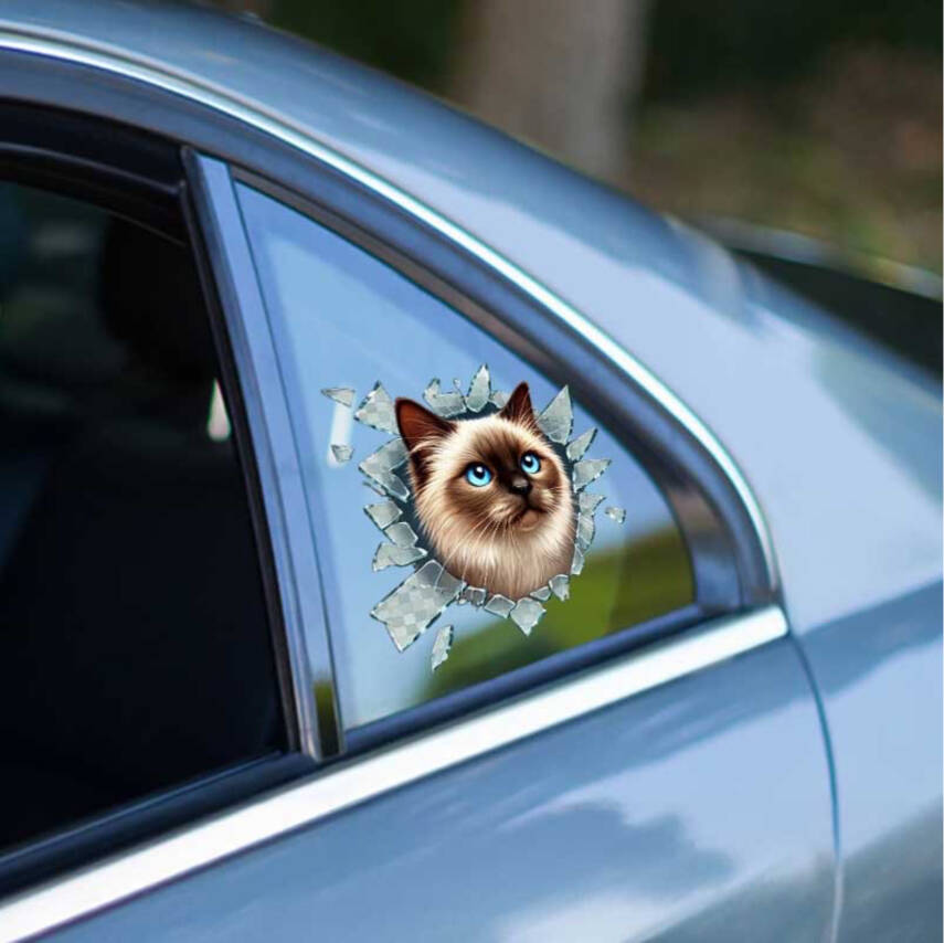 Fulcar Siamesse Araç Stickerı - 1