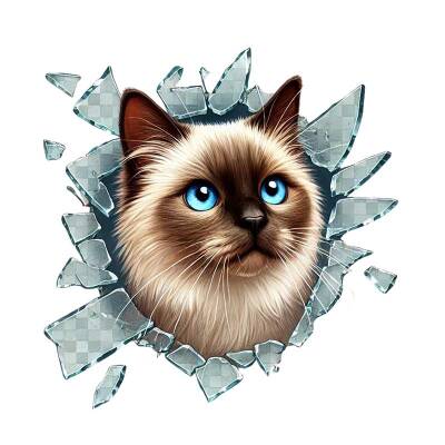Fulcar Siamesse Araç Stickerı - 2