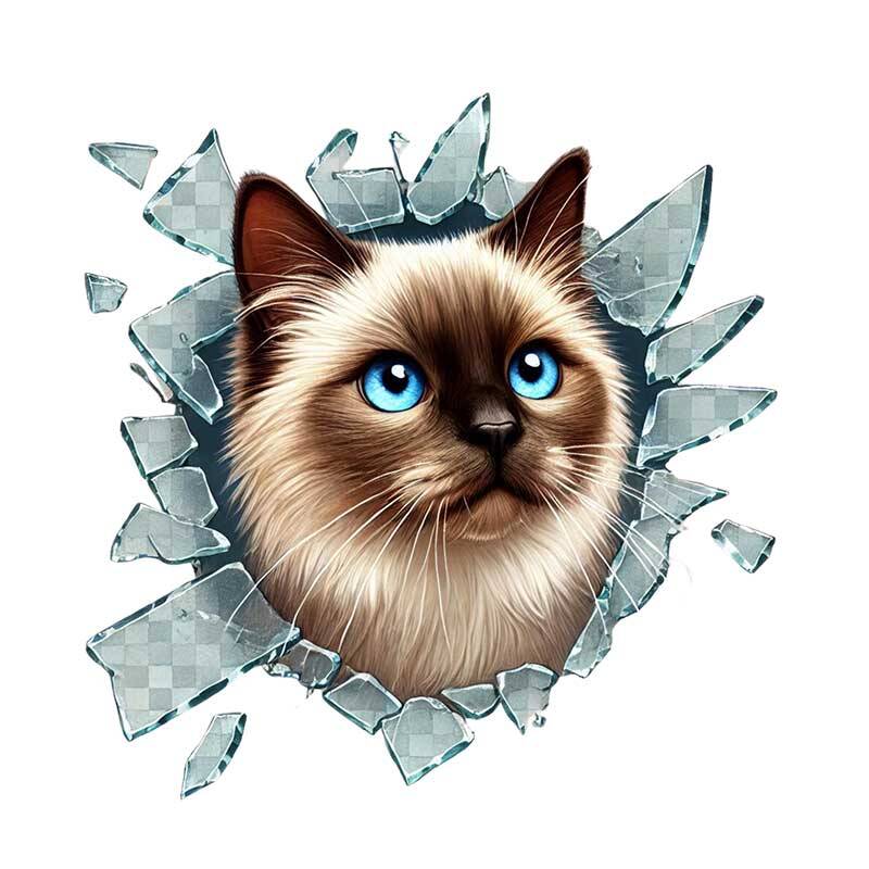 Fulcar Siamesse Araç Stickerı - 2