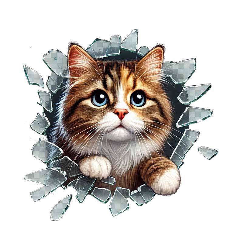Fulcar Stray Araç Stickerı - 1