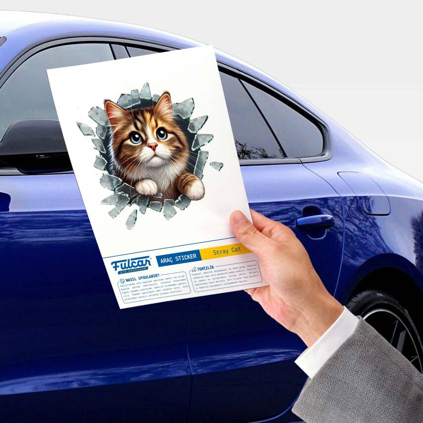 Fulcar Stray Araç Stickerı - 2