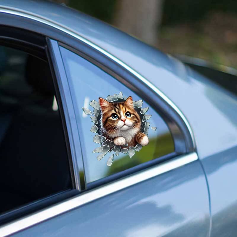 Fulcar Stray Araç Stickerı - 3