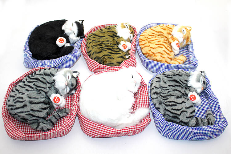 Horlayan Yastıkta Uyuyan Kedi Sesli - 1