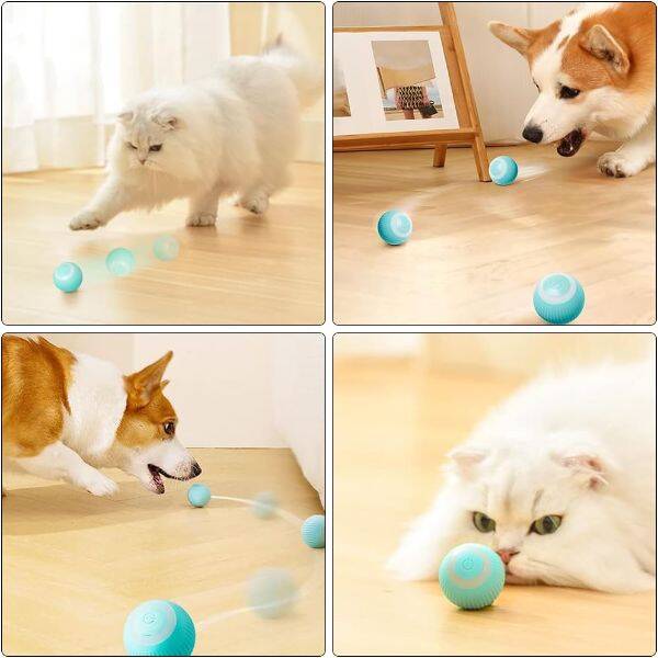 İnteraktif Kedi Köpek Şarjlı Oyun Topu - 1