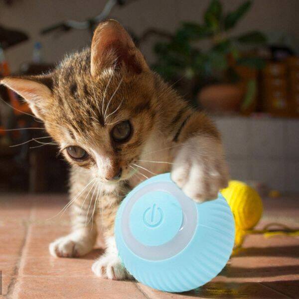 İnteraktif Kedi Köpek Şarjlı Oyun Topu - 3