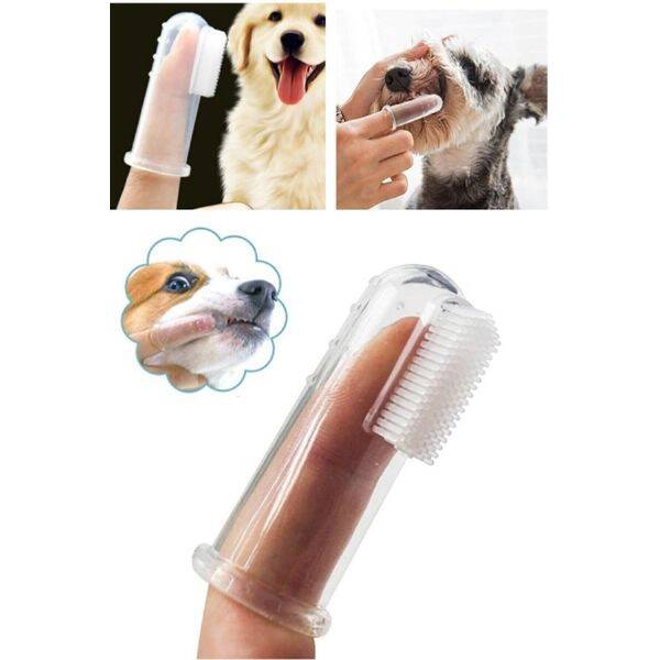 Kedi Köpek Diş Temizleme Fırçası - 1