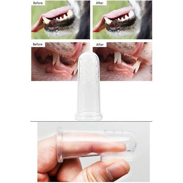 Kedi Köpek Diş Temizleme Fırçası - 2