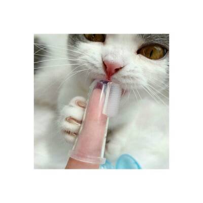 Kedi Köpek Diş Temizleme Fırçası - 4