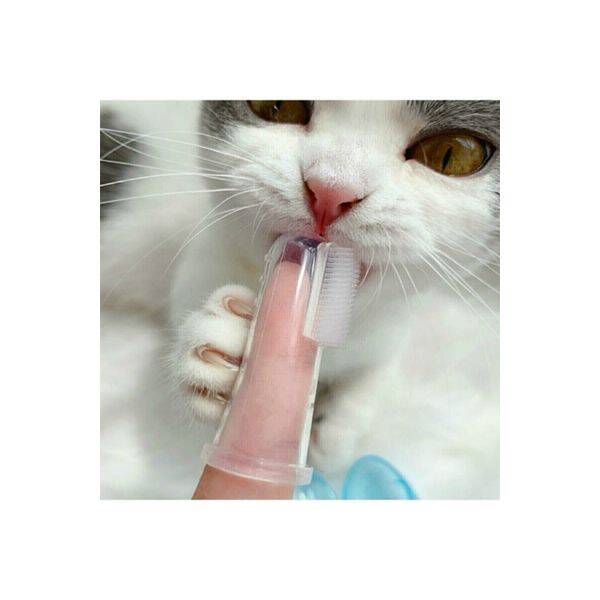 Kedi Köpek Diş Temizleme Fırçası - 4