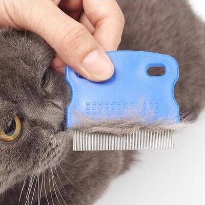 Kedi Köpek İçin Bit Pire Tarağı - 2