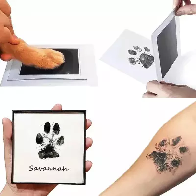 Kedi Köpek Pati İzi Fotoğraf Çerçevesi Seti - 1
