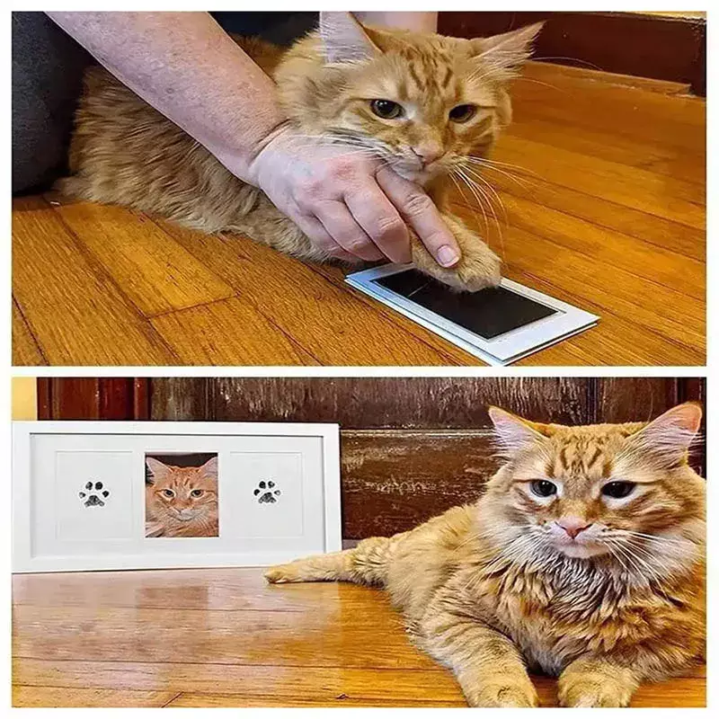 Kedi Köpek Pati İzi Fotoğraf Çerçevesi Seti - 5